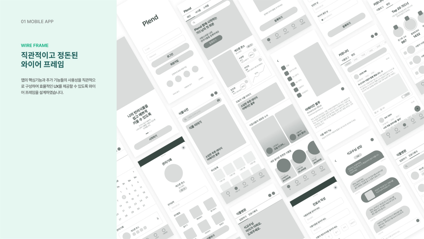 plend 반려식물 앱 / UI/UX 디자이너 취업 아카데미 양혜인8