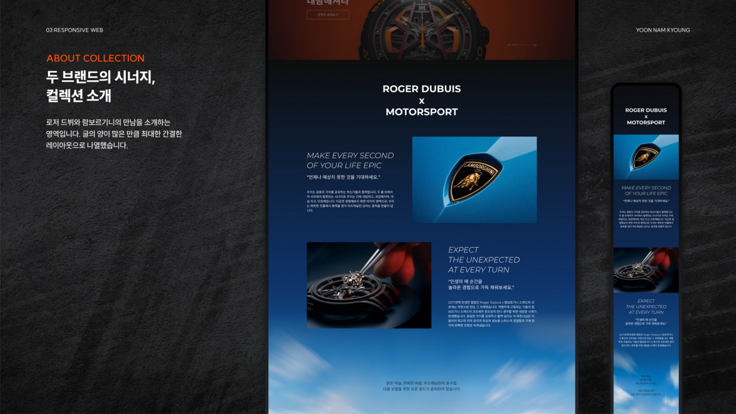 로저 드뷔 반응형 웹 / UI/UX 디자이너 취업 아카데미 윤남경4