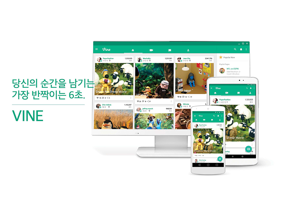 VINE / WMDS  남륜19