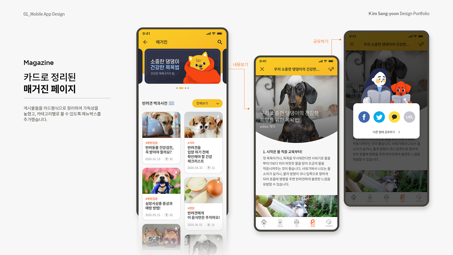 펫닥 어플 / 취업 아카데미(모바일 & 웹 UX/UI 디자인 포트폴리오 실무 프로젝트) 김상윤10