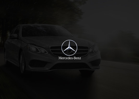 BENZ / WMDS  한지명